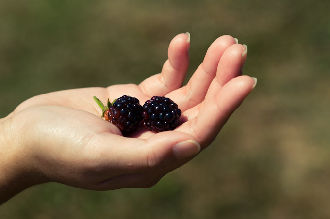 Berries