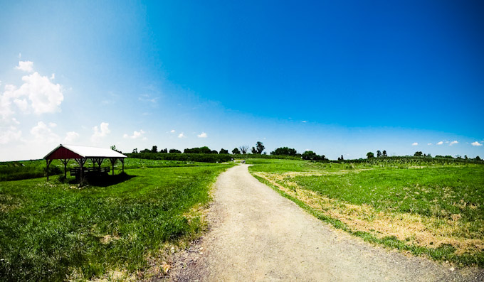 Fruit picking venue