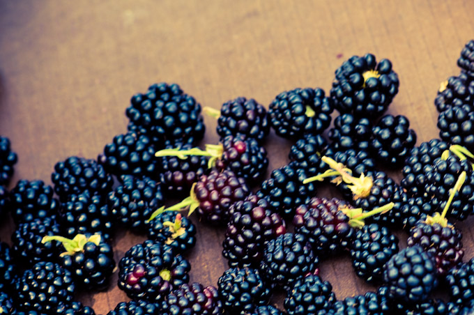 Berries