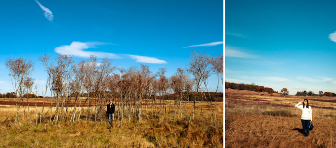 Fall Colors at Big Meadows, Shenandoah National Park