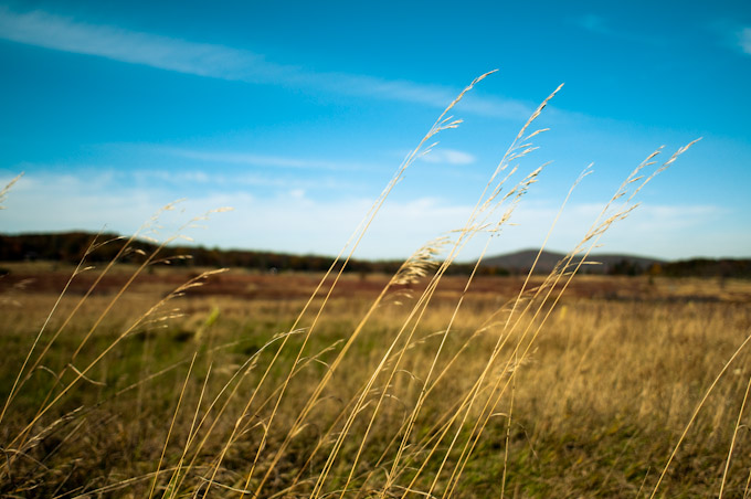 Fall Colors at Big Meadows, Shenandoah National Park