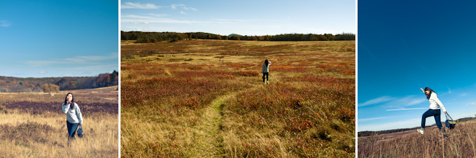 Fall Colors at Big Meadows, Shenandoah National Park