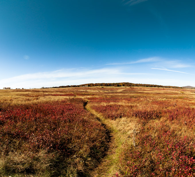 Fall Colors at Big Meadows, Shenandoah National Park
