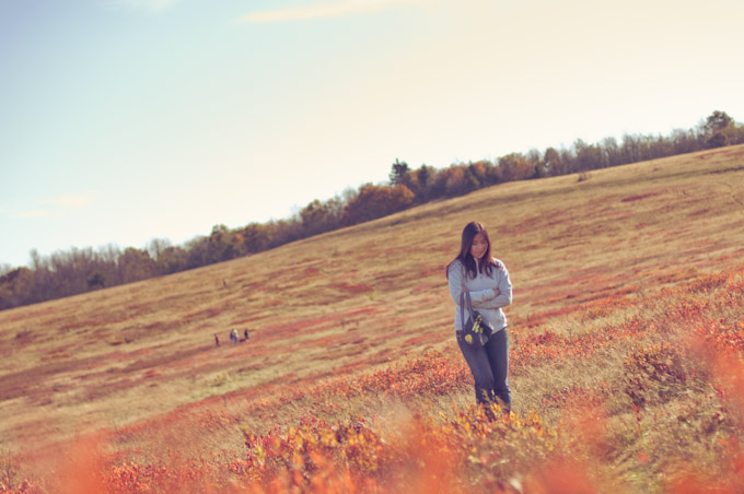 Fall Colors at Big Meadows, Shenandoah National Park