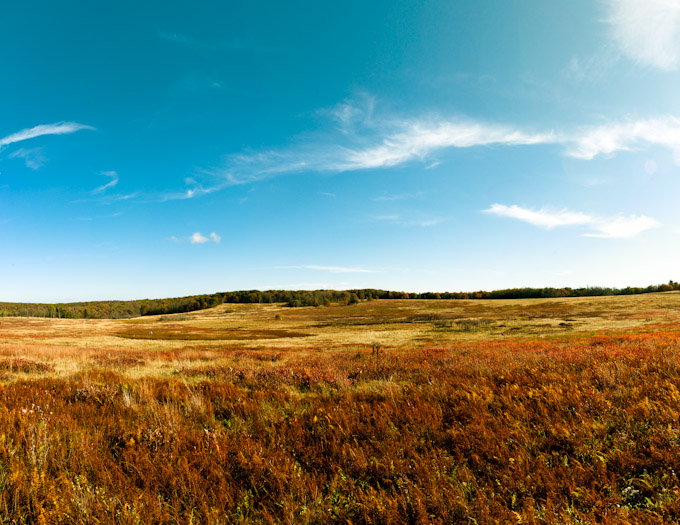 Fall Colors at Big Meadows, Shenandoah National Park