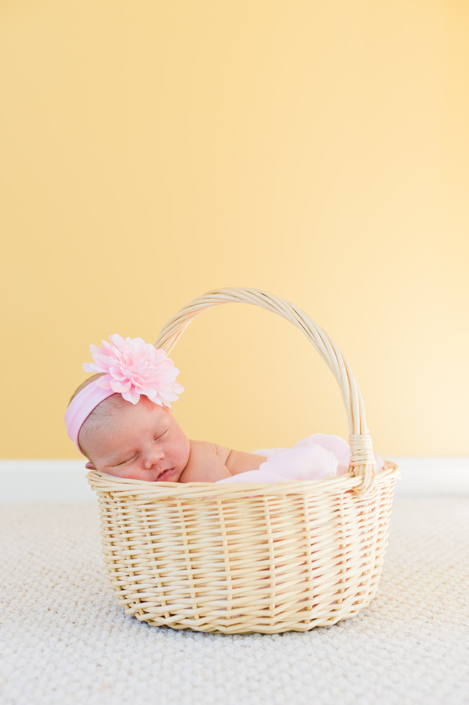 Newborn, Baby, Family, Children, Portrait