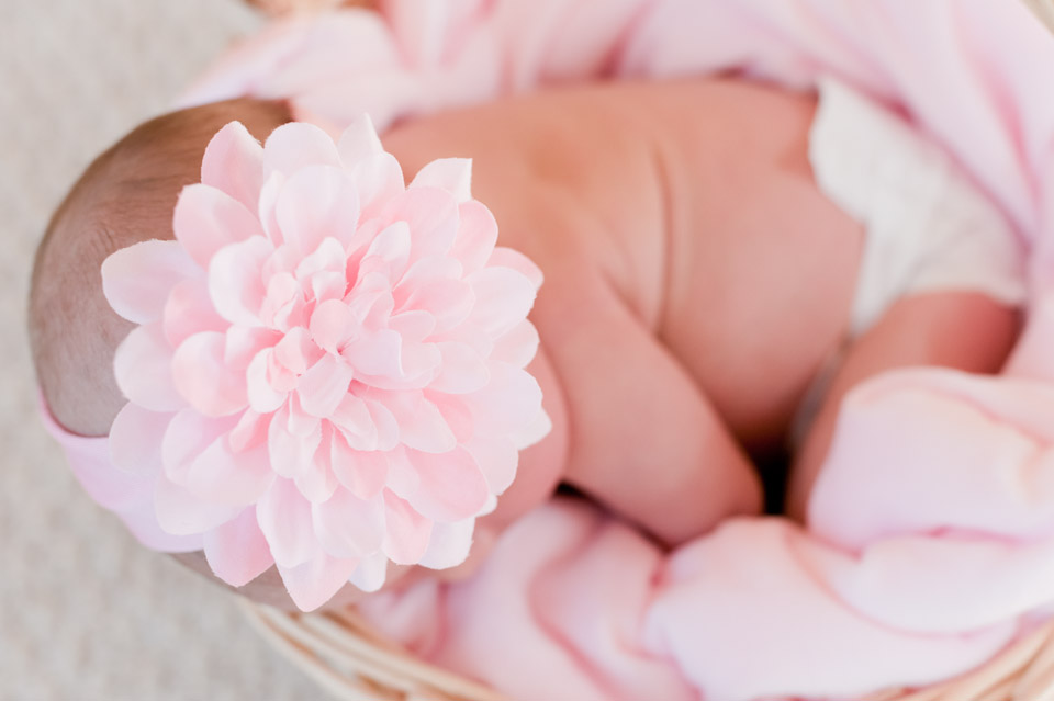 Newborn, Baby, Family, Children, Portrait