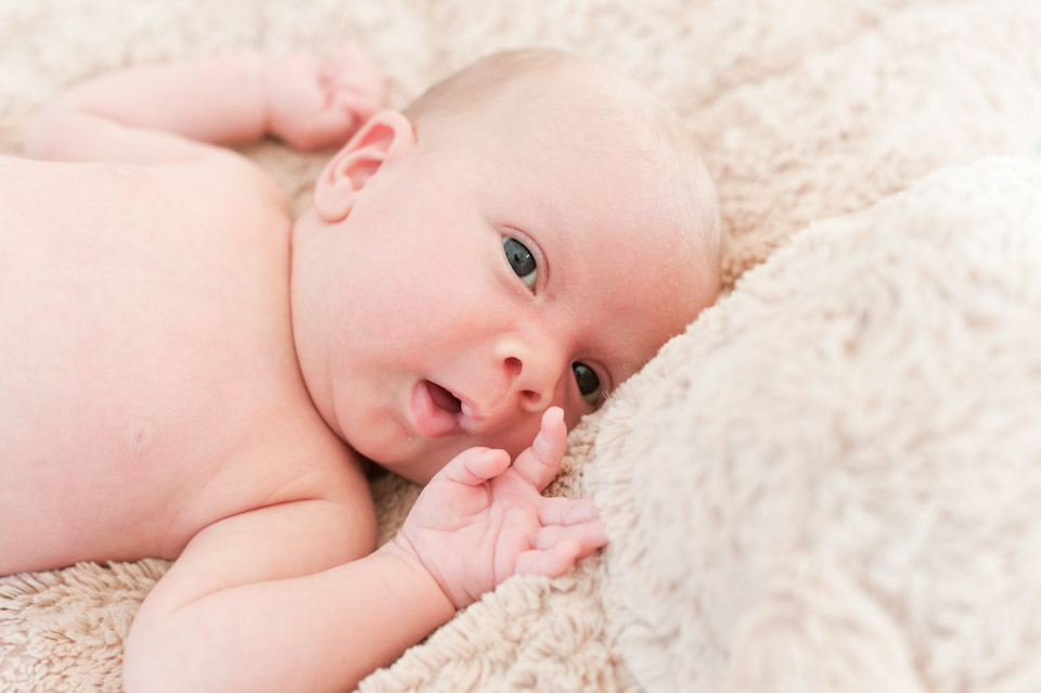 Newborn, Baby, Family, Children, Portrait