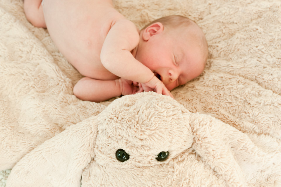 Newborn, Baby, Family, Children, Portrait