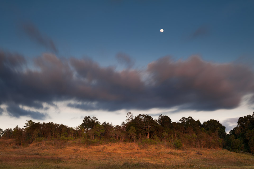 Khao Yai, Kirimaya, Nakhon Ratchasima, Khorat, Landscape