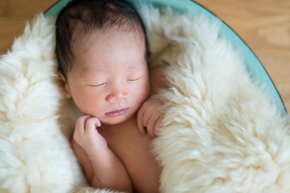 newborn, baby, child, baby posing, family