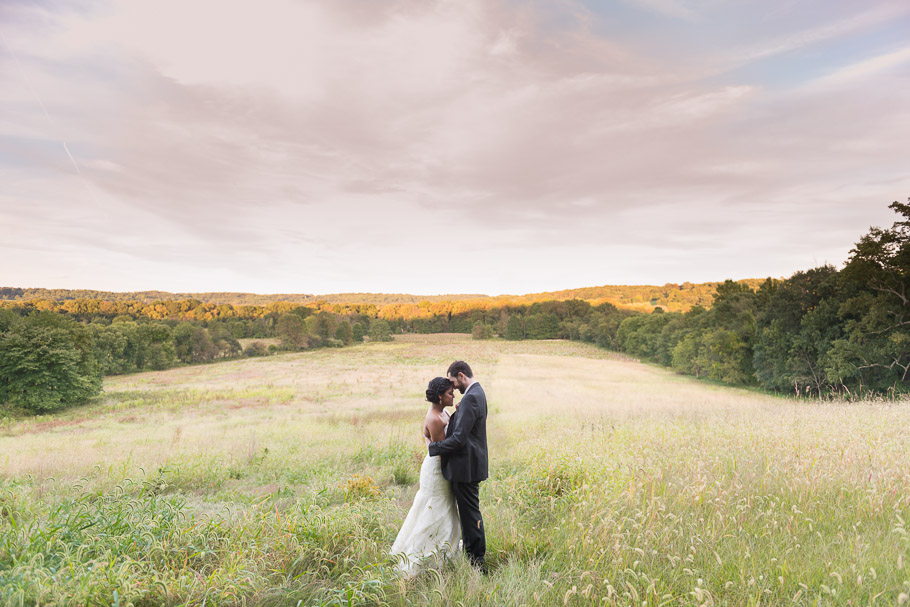 Standing in the middle of the meadow