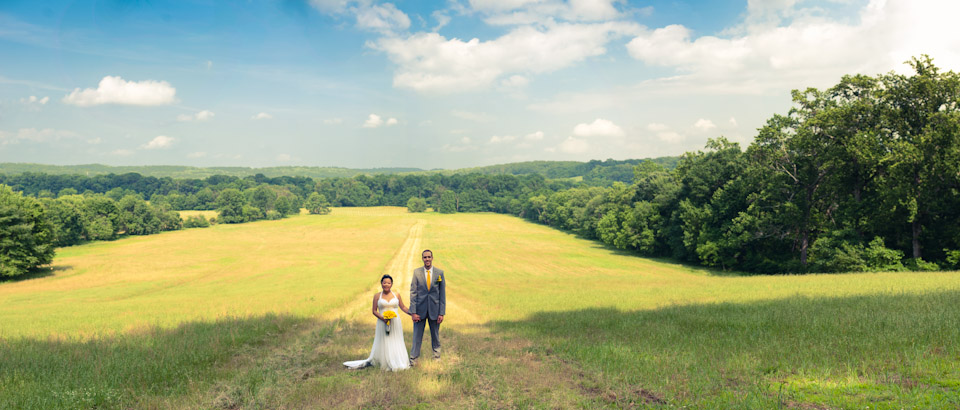 Wedding, Spring, Maryland, Irvine Nature Center, Owings Mills, MD, Korean, Asian