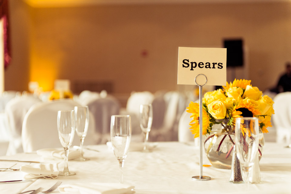 wedding, hindi, hindu, indian, steelers, cowboys, maryland, md, marriott inn and conference center, umuc, college park
