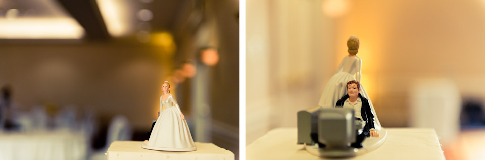 wedding, hindi, hindu, indian, steelers, cowboys, maryland, md, marriott inn and conference center, umuc, college park